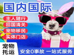 攀枝花保安营机场货运国际宠物托运 【国